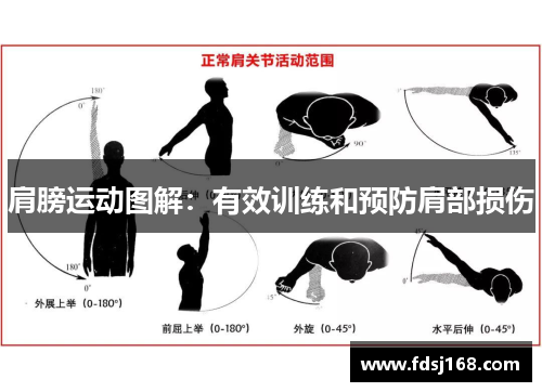肩膀运动图解:有效训练和预防肩部损伤