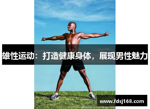 雄性运动:打造健康身体,展现男性魅力